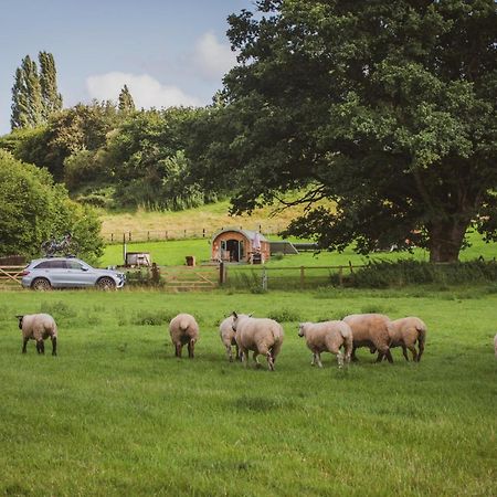 Hidden Wood Glamping And The Hideaway Cabin Warminster Exteriér fotografie