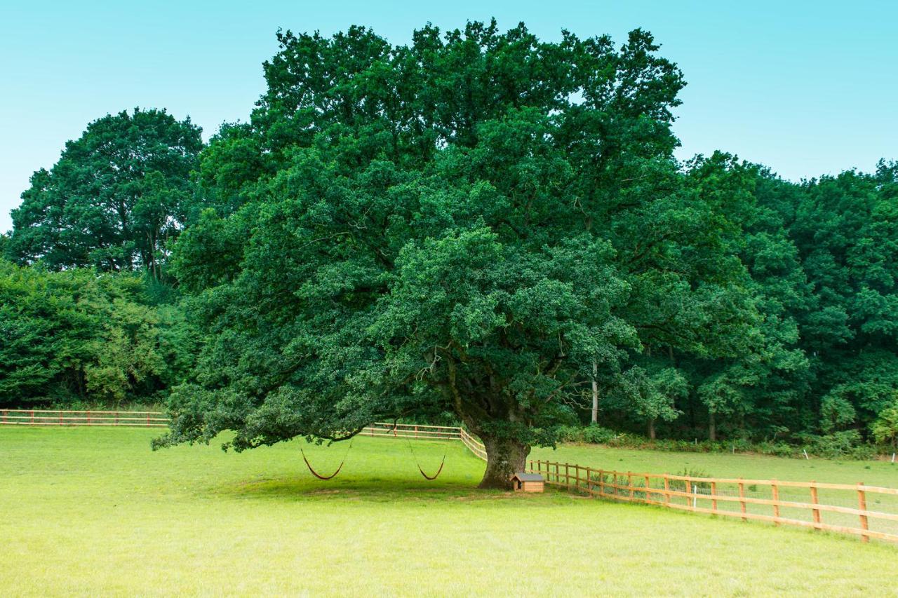 Hidden Wood Glamping And The Hideaway Cabin Warminster Exteriér fotografie