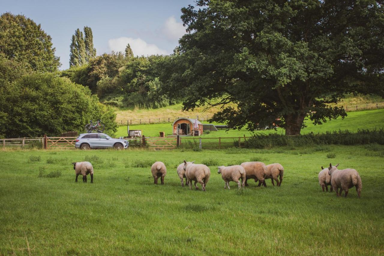 Hidden Wood Glamping And The Hideaway Cabin Warminster Exteriér fotografie